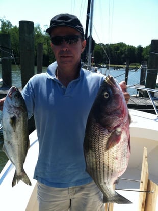 bill fish