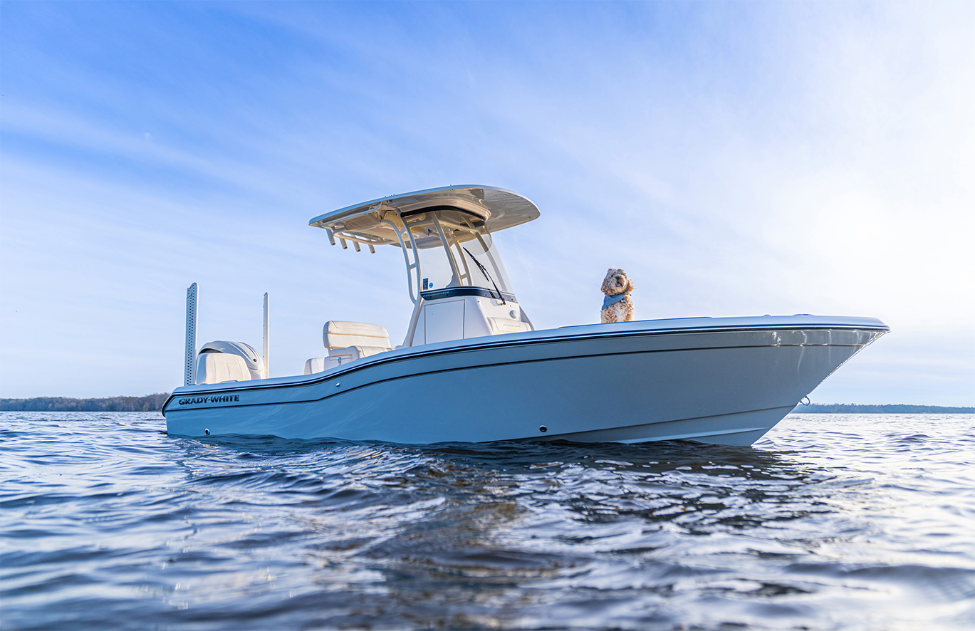 231 Coastal Explorer