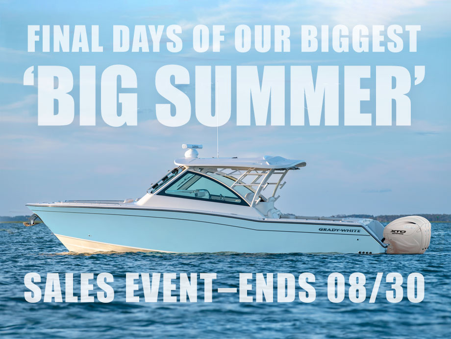 Big-Summer-2025-FINAL-DAYS-Mobile